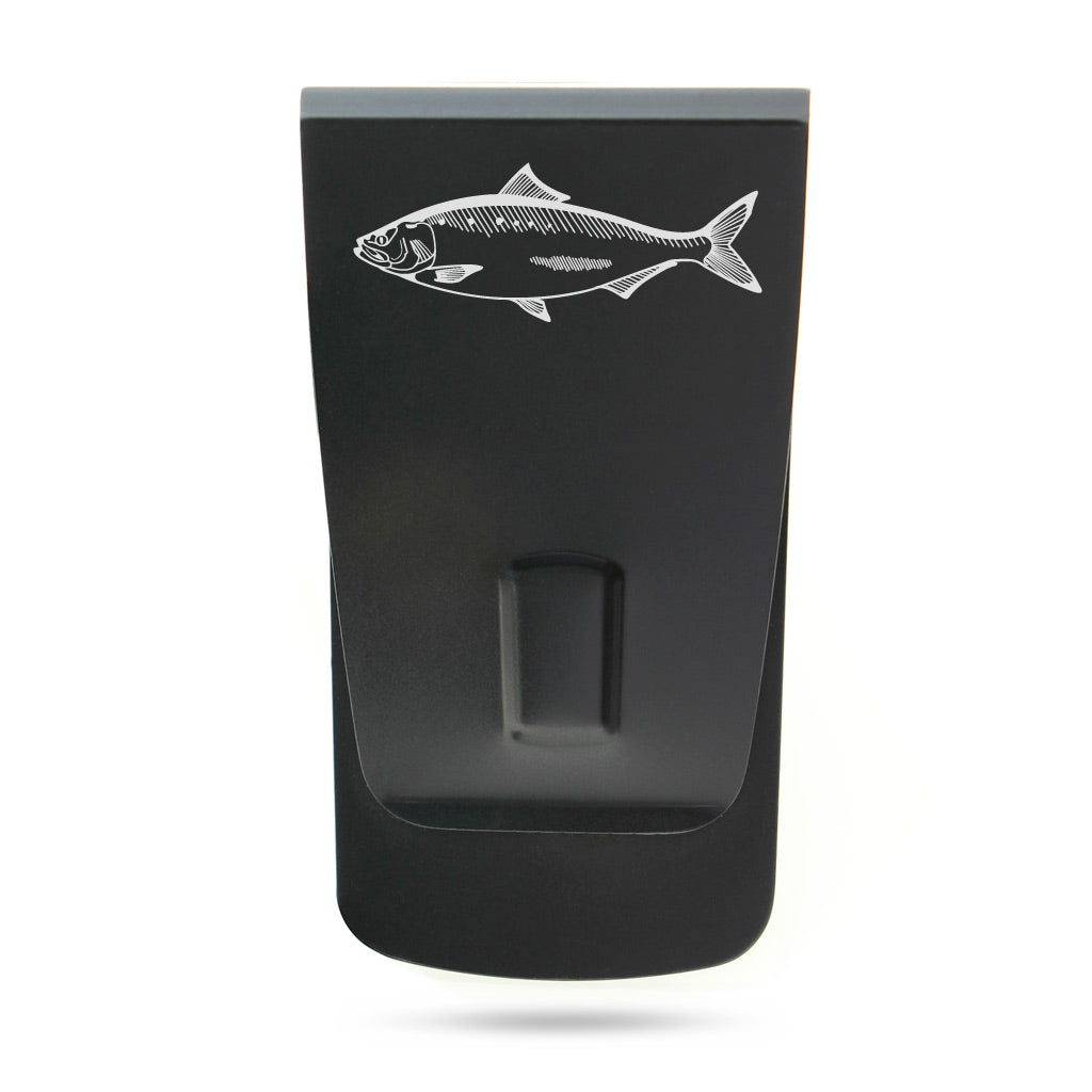 American Shad - 0016