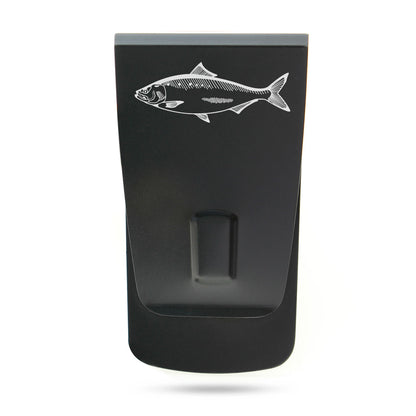 American Shad - 0016
